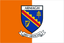 Dublin County Crest Handschwenkflaggen