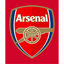 Arsenal Football Club Flag