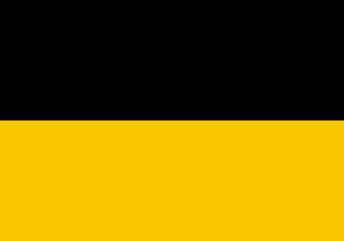 The flag of Baden-Württemberg. A black and yellow horizontal bicolor flag waving on a white flagpole against a plain white background.