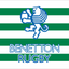 Benetton Rugby logo with green and white stripes