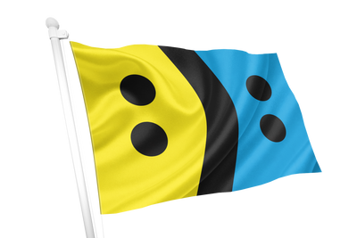 Bipolar Disorder Flag