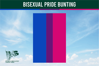 Wimpelkette mit bisexueller Pride-Flagge