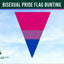Bisexual pride flag bunting with 'Flags Ireland' logo on a blue sky background