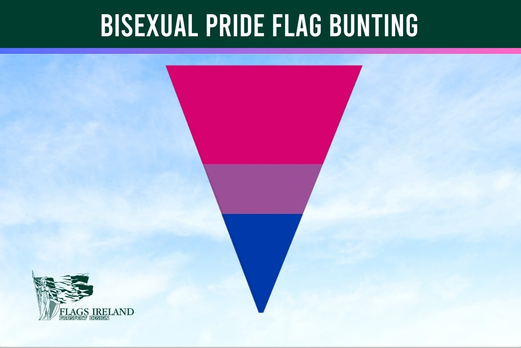 Bisexual pride flag bunting with 'Flags Ireland' logo on a blue sky background
