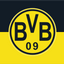 Borussia Dortmund Flag