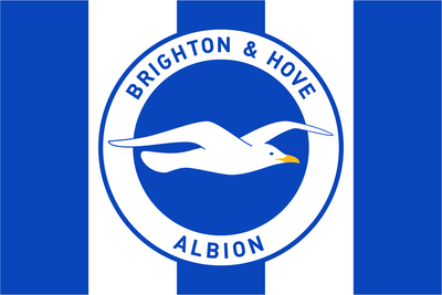 Brighton & Hove Albion Football Club Flag