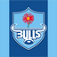 Bulls logo with a red flower on a blue and light blue striped background