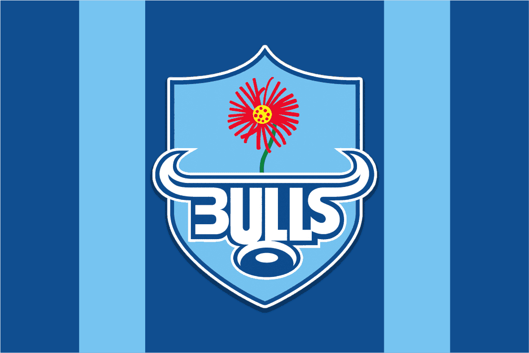 Bulls logo with a red flower on a blue and light blue striped background