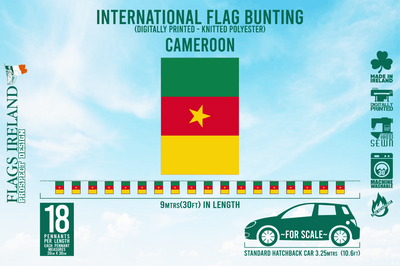 Wimpelkette mit Kamerun-Flagge