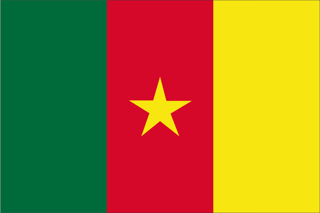 Cameroon Handwaver Flag