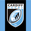 Cardiff Rugby Flag since 1876 black and blue