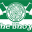 Mayo GAA Wappenflagge