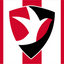 Cheltenham Town Football Club Flag