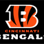 Cincinnati Bengals Flag