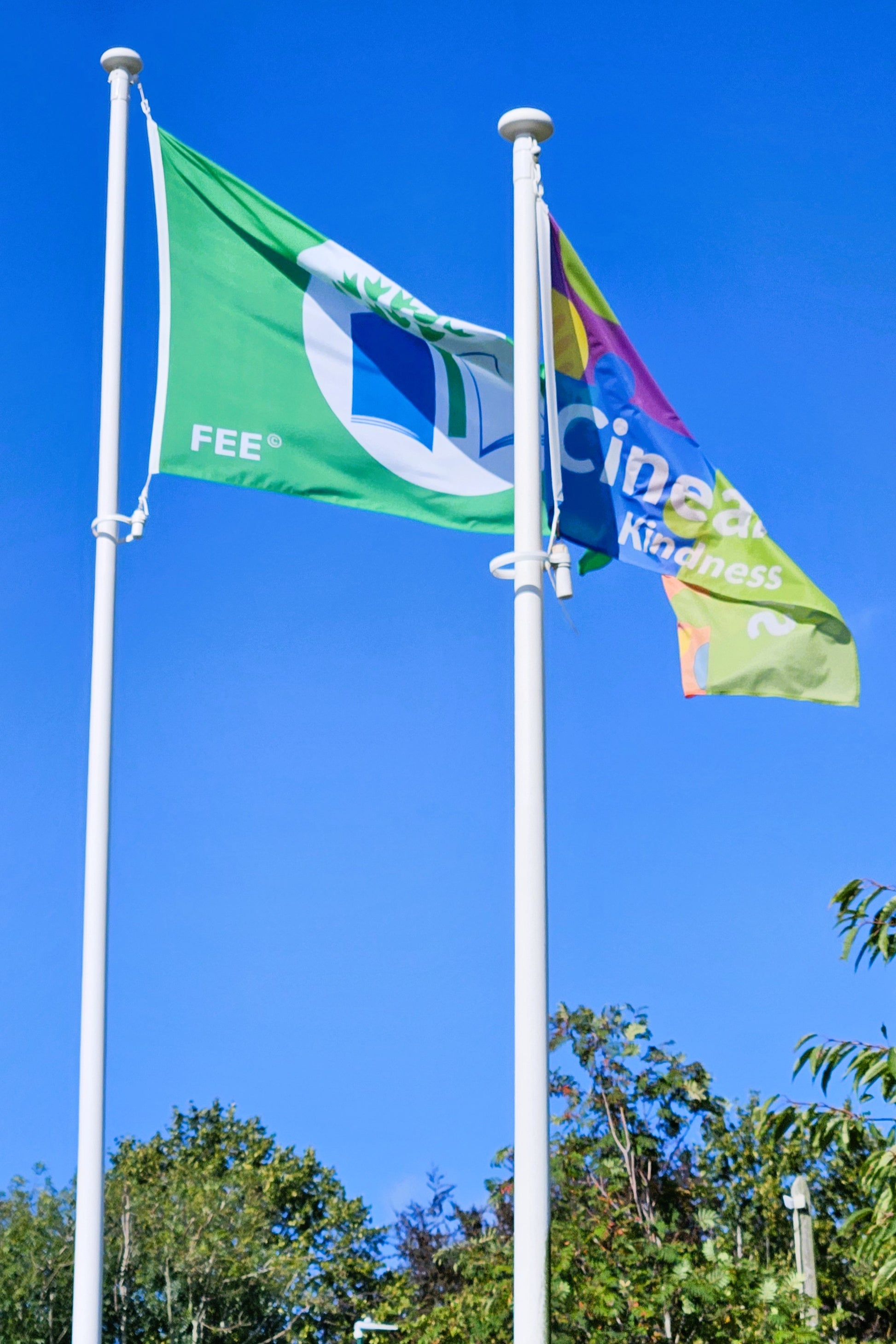 Two flags on poles against a clear blue sky with trees at the bottom.