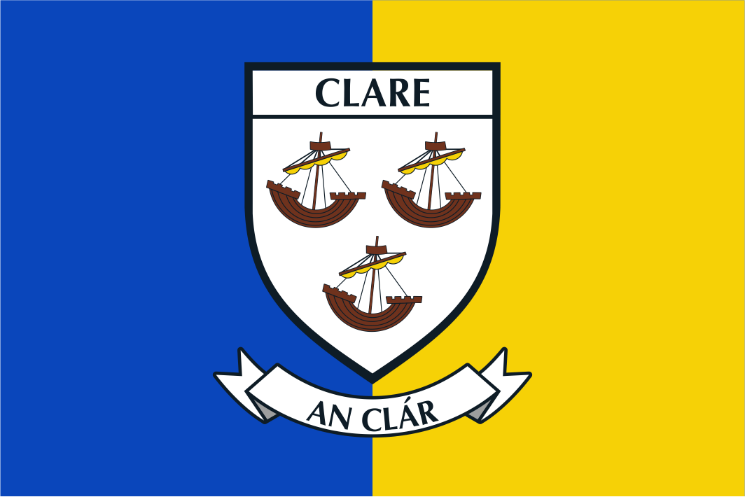 Bandeiras Handwaver da crista do condado de Dublin