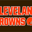 Cleveland Browns Flag