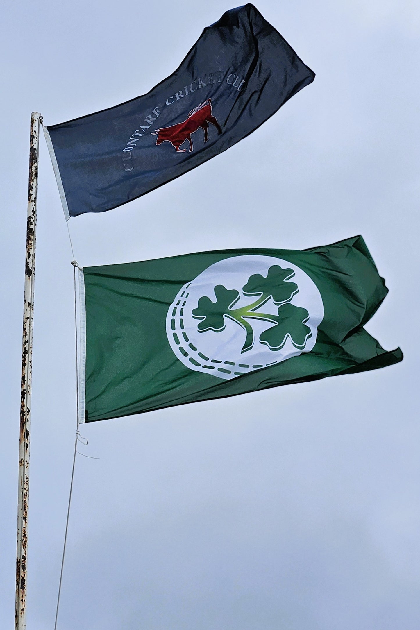 Two flags, one green with a shamrock design and the other blue with a red emblem, waving against a clear sky.