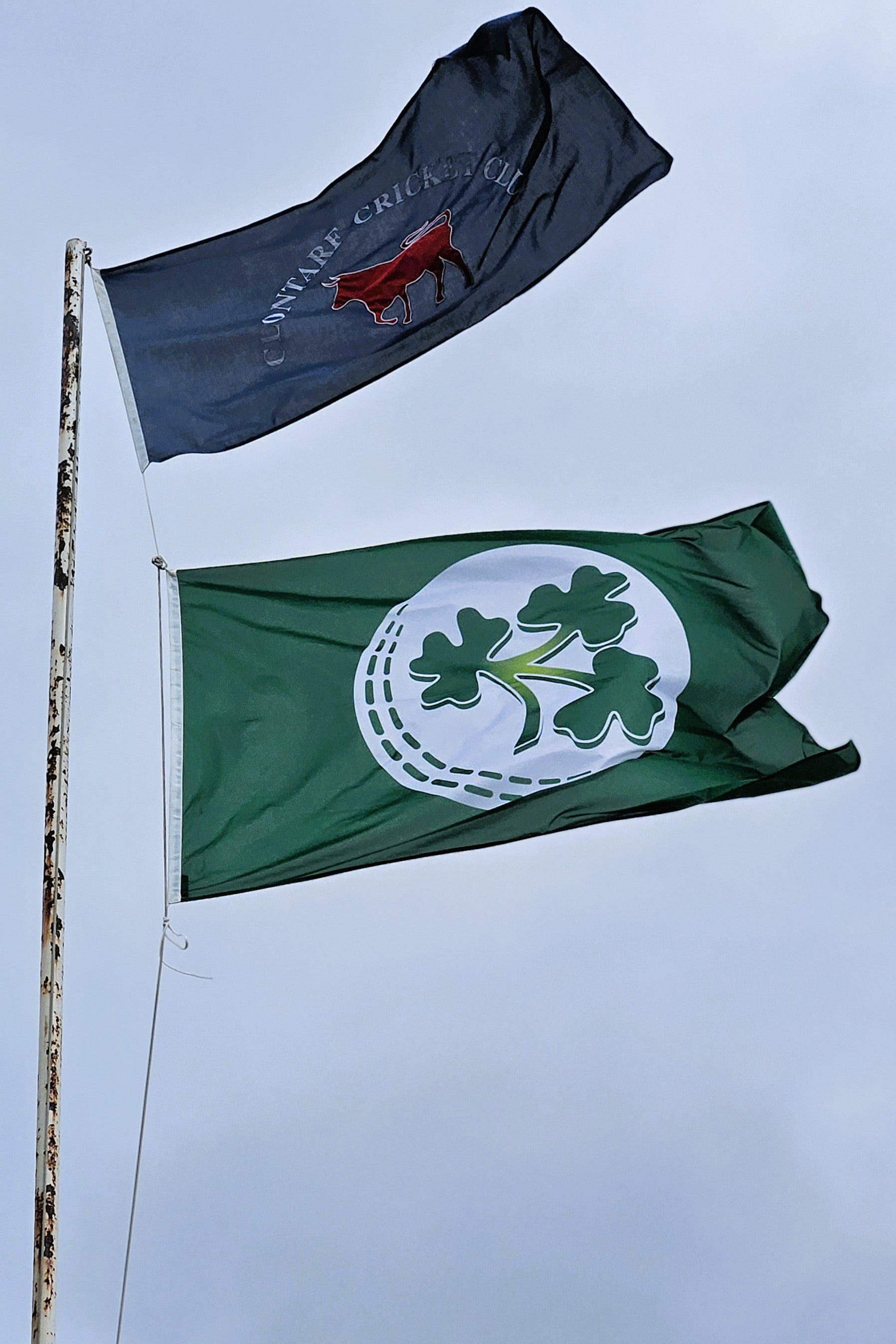 Two flags, one green with a shamrock design and the other blue with a red emblem, waving against a clear sky.