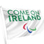 Come On Ireland Paralympic Flag - White
