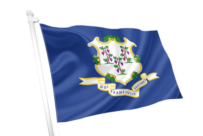 Connecticut State Flag