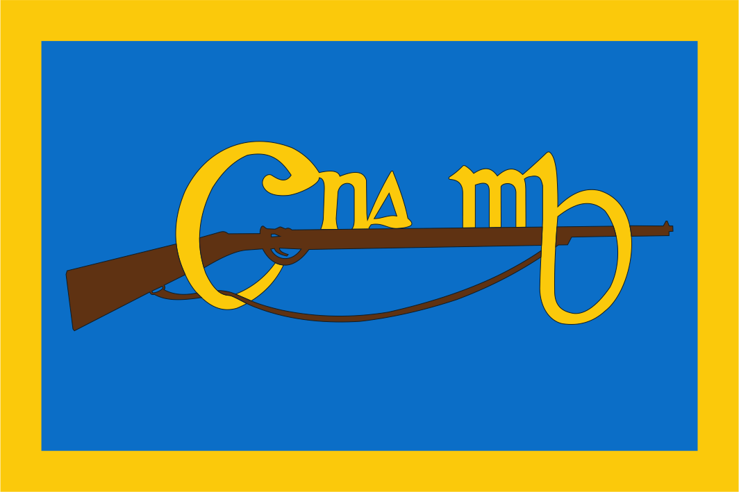 Cumann na mBan Flag – Flags Ireland Prospect Design