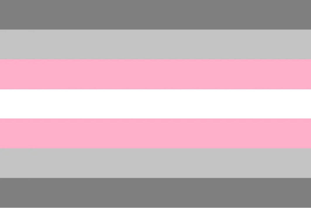 Demigirl Pride Flag with pink, gray, and white stripes