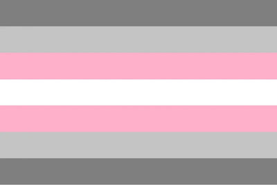 Demigirl Pride Flag with pink, gray, and white stripes