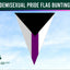 Demisexual pride flag bunting with a clear sky background