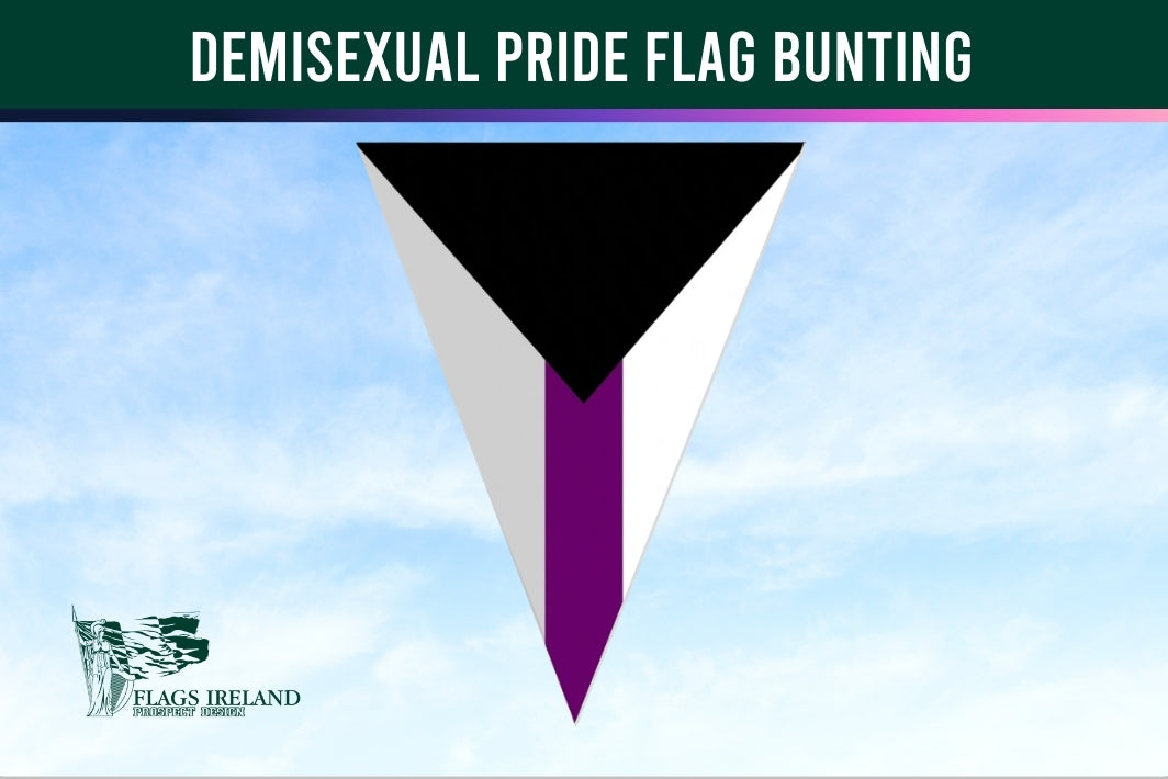 Demisexual pride flag bunting with a clear sky background