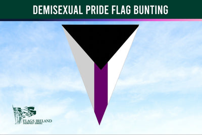 Demisexual pride flag bunting with a clear sky background