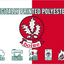 Derry GAA Crest Flag