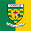 Donegal County Crest Flag