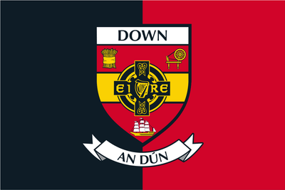 Dublin County Crest Handschwenkflaggen