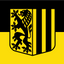 Dresden Flag. A black and yellow graphic design featuring a central shield with a black lion rampant on a yellow background and vertical black stripes on the right side, set against a split black and yellow backdrop.