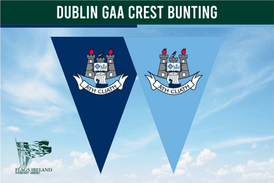 Wappenflagge des Dublin County GAA