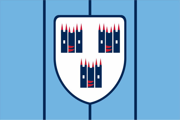 Dublin 1980's Retro GAA Crest Flag