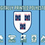 Dublin 1980's Retro GAA Crest Flag