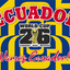 Ecuador World Cup 2026 promotional banner with blue and yellow stripes.