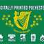 Erin Go Bragh Flag