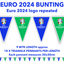 Euro 2024 Logo Triangle Bunting | Blue & Green Pennants