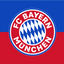 FC Bayern Munich Flag blue and red colours