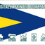 1st SUBSTITUTE Code Flag