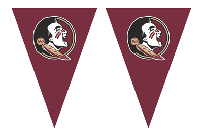 Florida State Seminoles Football Team Bunting