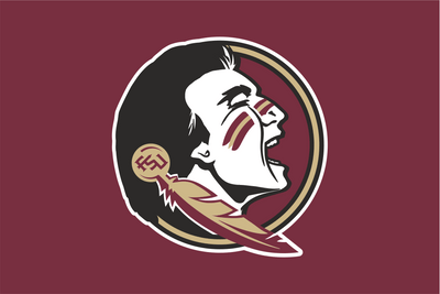 Florida State Seminoles Football Team Flag