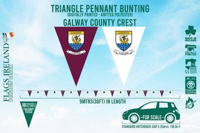 Wappenflagge des Galway County