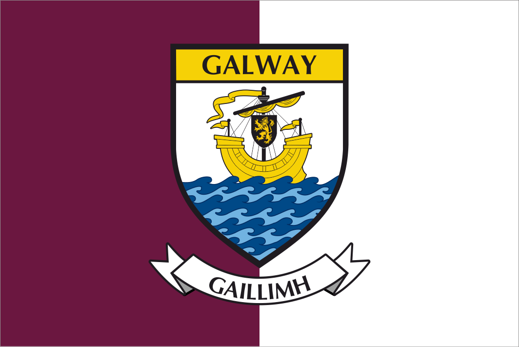 Galway County Crest Handwaver Flags