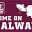Bandeira da crista de Galway GAA