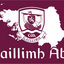 Bandeira da crista de Galway GAA