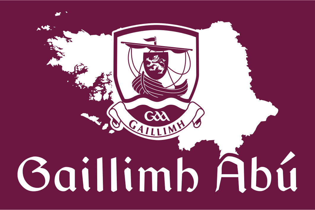 Galway GAA Wappenflagge